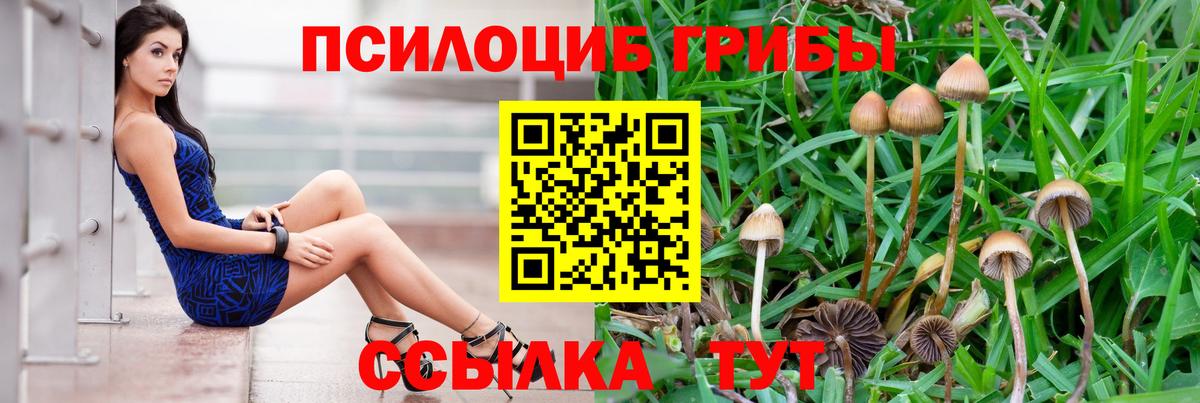 Псилоцибиновые грибы GOLDEN TEACHER Зеленокумск